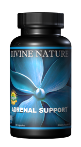 adrenal support