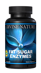 fat sugar enzymes