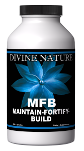 maintain fortify build